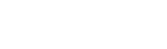 White logo with a plus-shaped symbol on the left, followed by the text “NL Group” in bold letters on a light gray background.